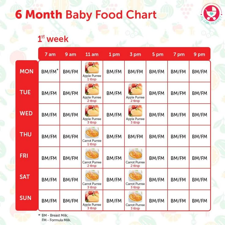 Food timing for 6 months baby