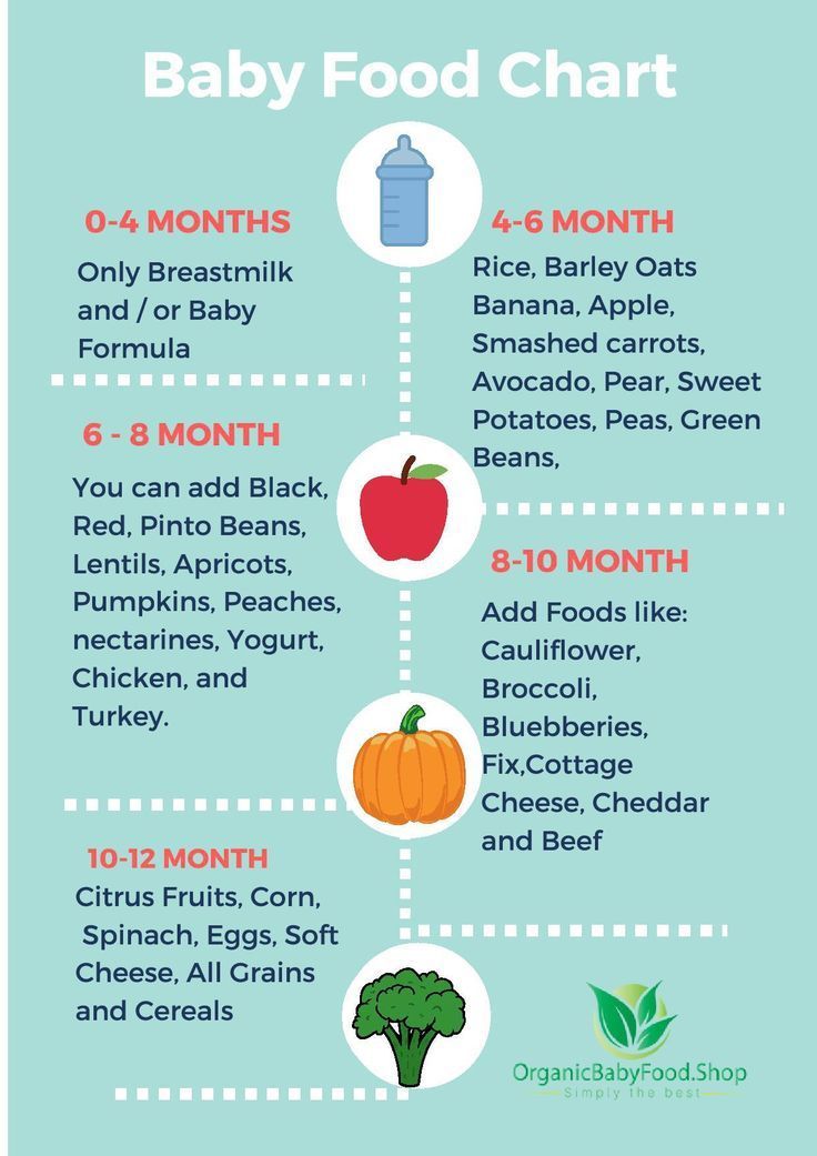 Baby nutrition food chart