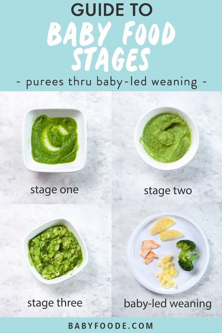 When can i give baby pureed food