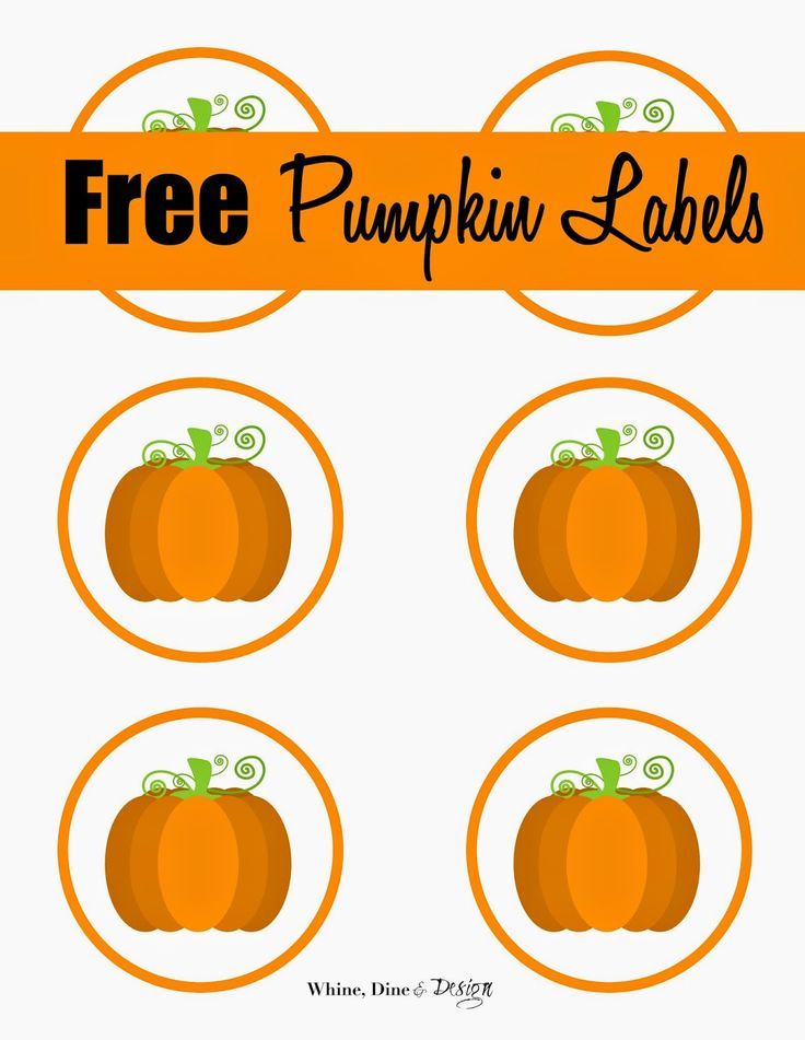 Best pumpkin for baby food