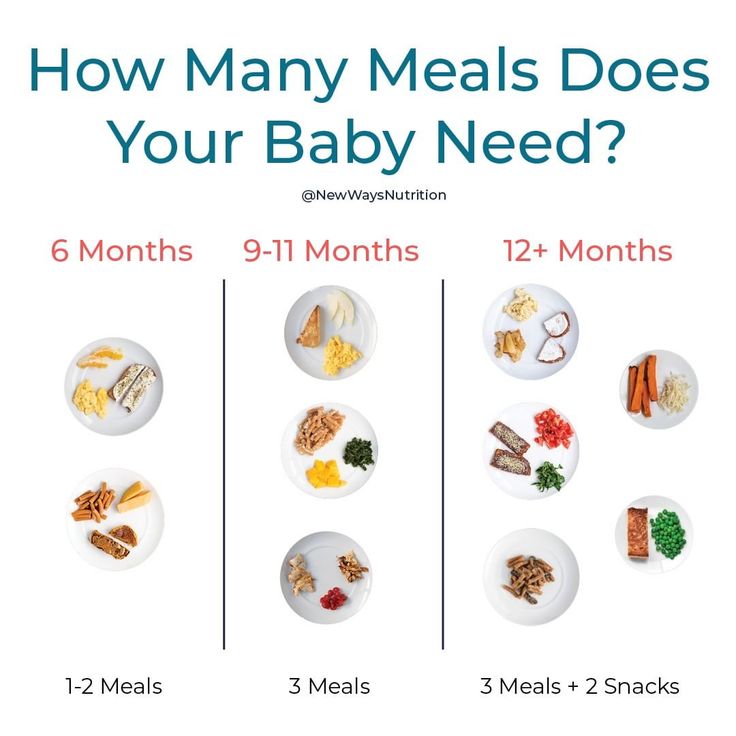 Baby led weaning food guide