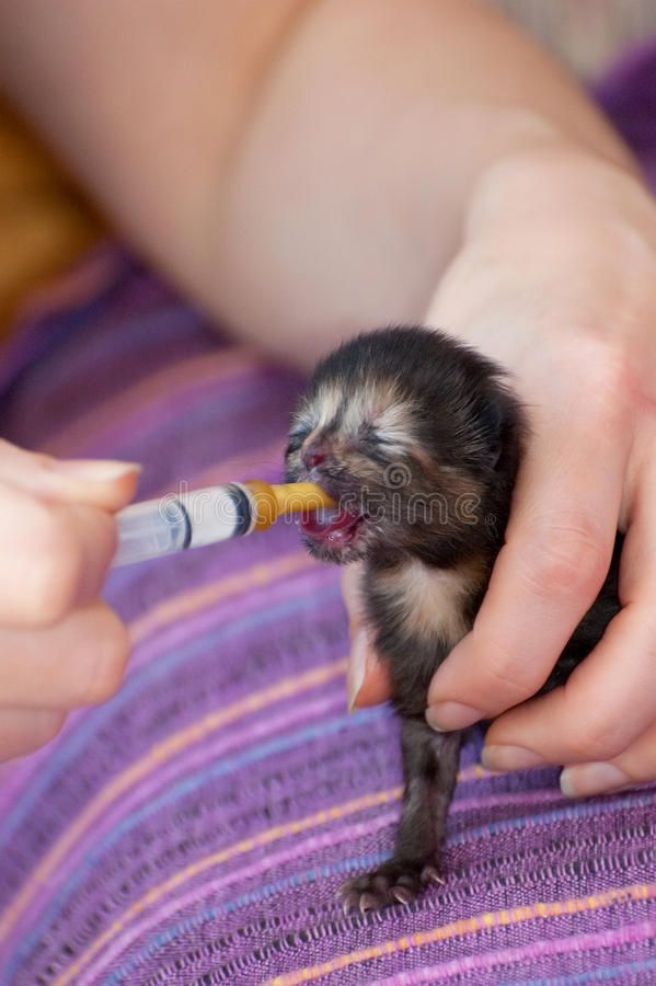 Feeding newborn baby with syringe