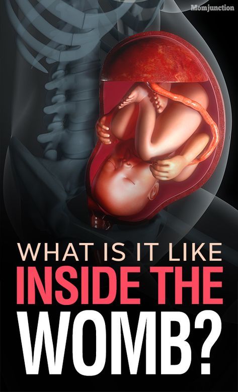 What do babies feed on in the womb