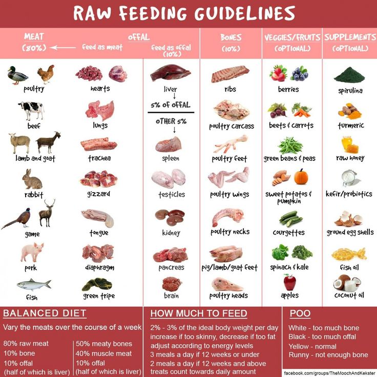 When to feed baby meats