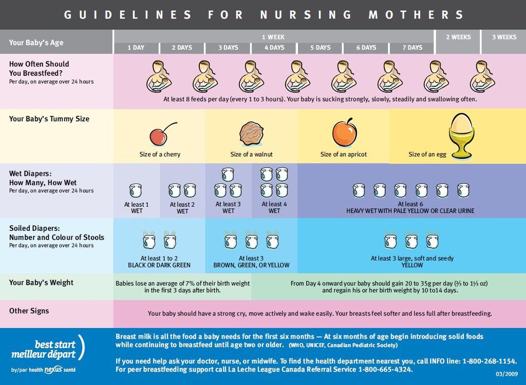 Baby feeding guidlines