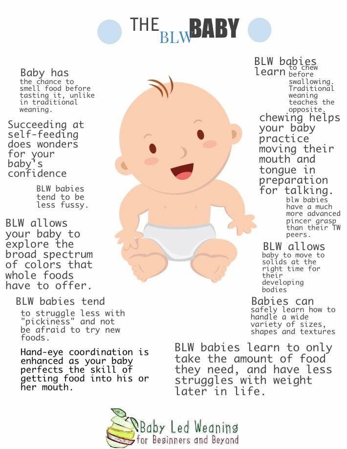 Baby solids feeding schedule 7 months