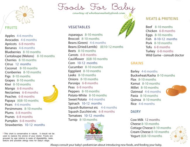 Which baby food to introduce first