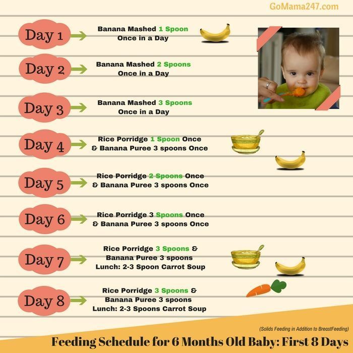 How to start feeding 6 month baby