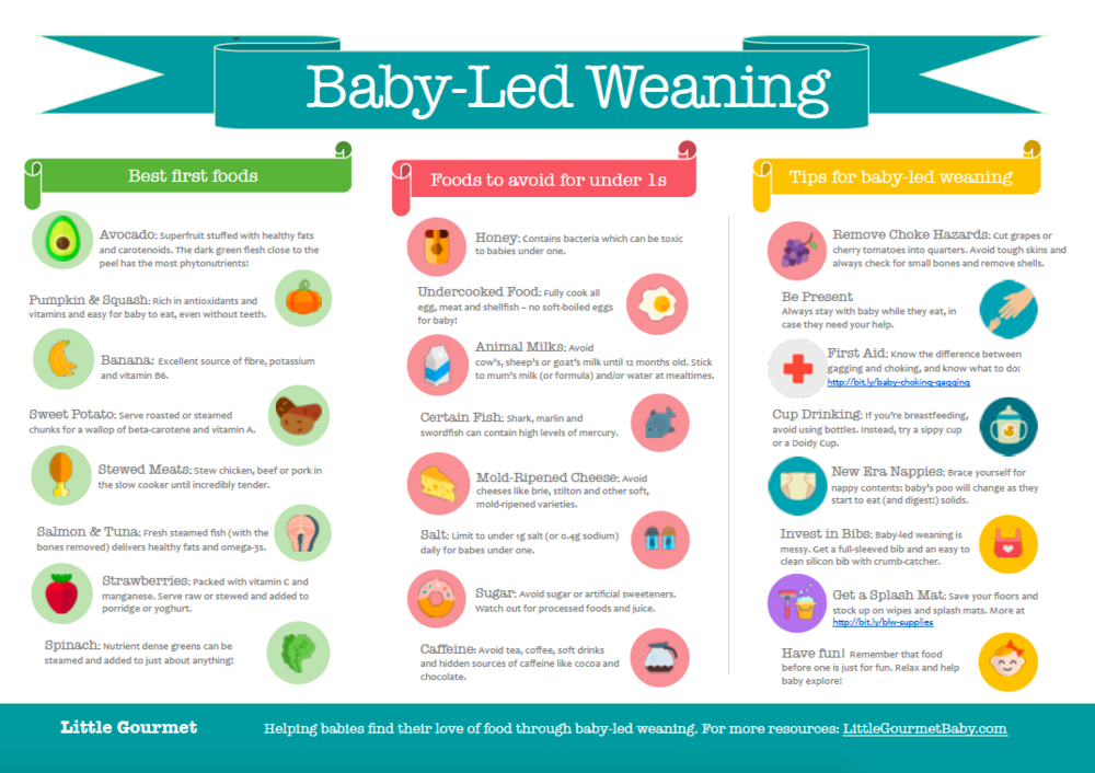 Baby led weaning food sizes