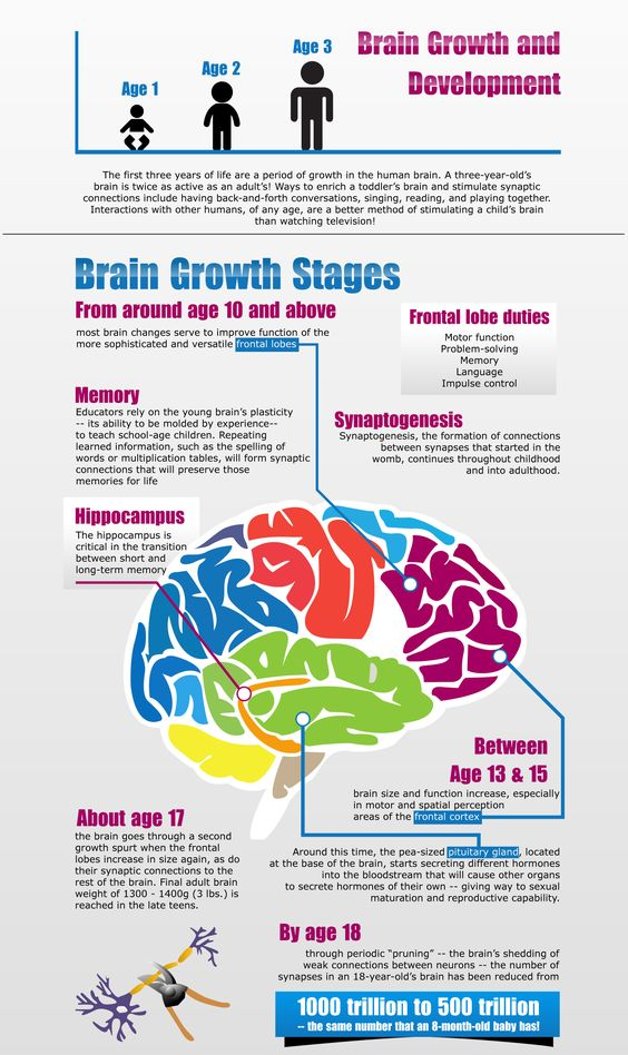 Foods that are good for baby brain development