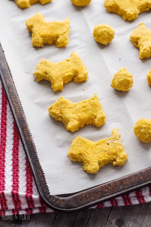 Dog treats with baby food recipe