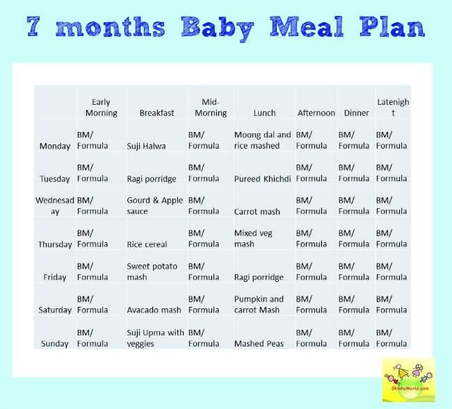 6 month baby feeding plan