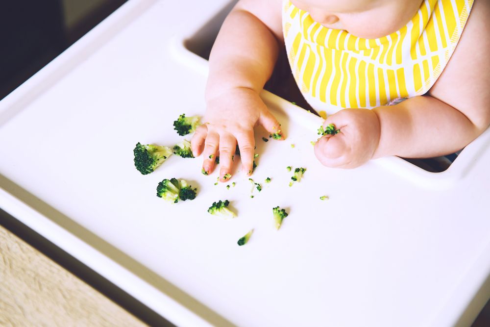 When to start making baby food