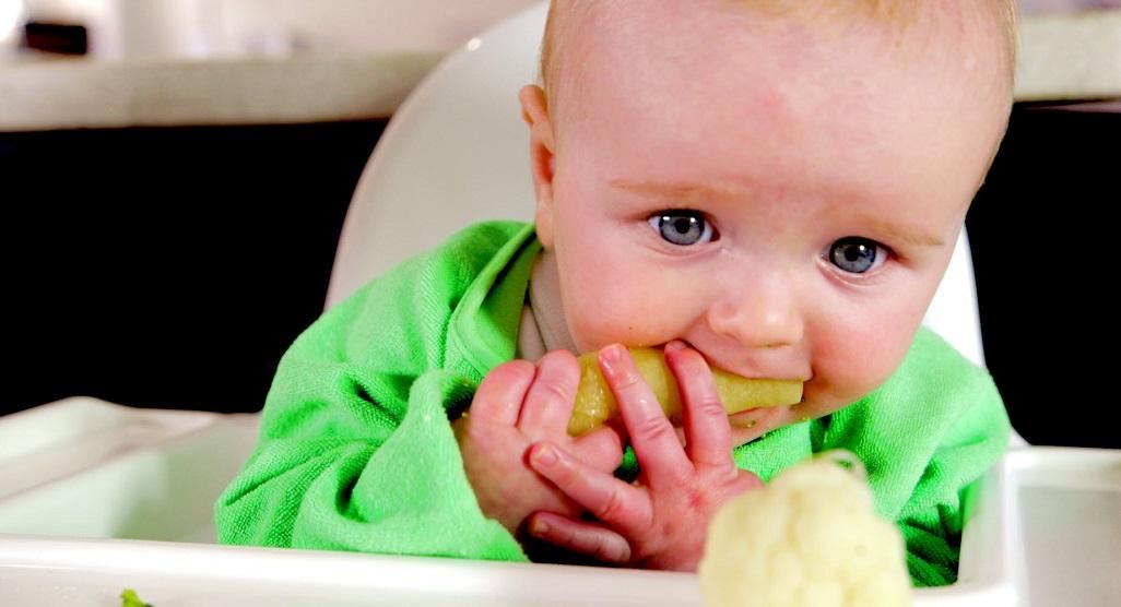 What foods for baby led weaning