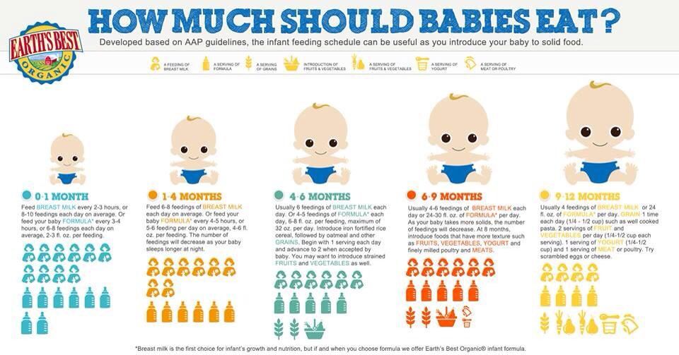 Baby age food guide