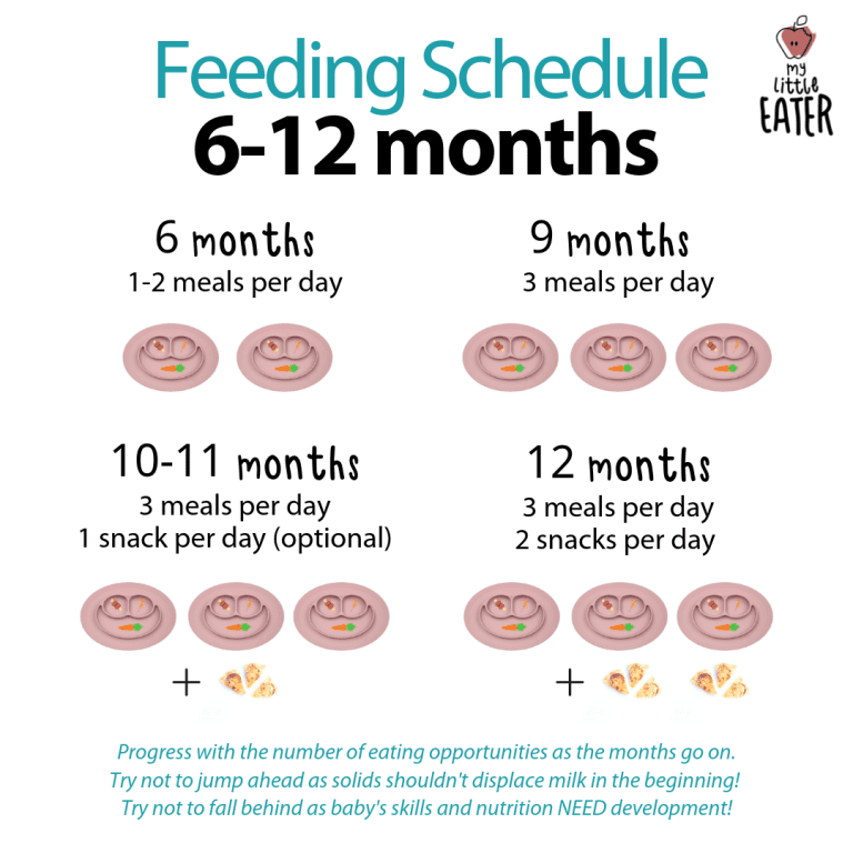 6Th month baby feeding schedule