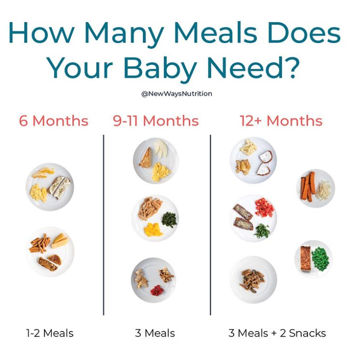 Baby led weaning ideas finger foods