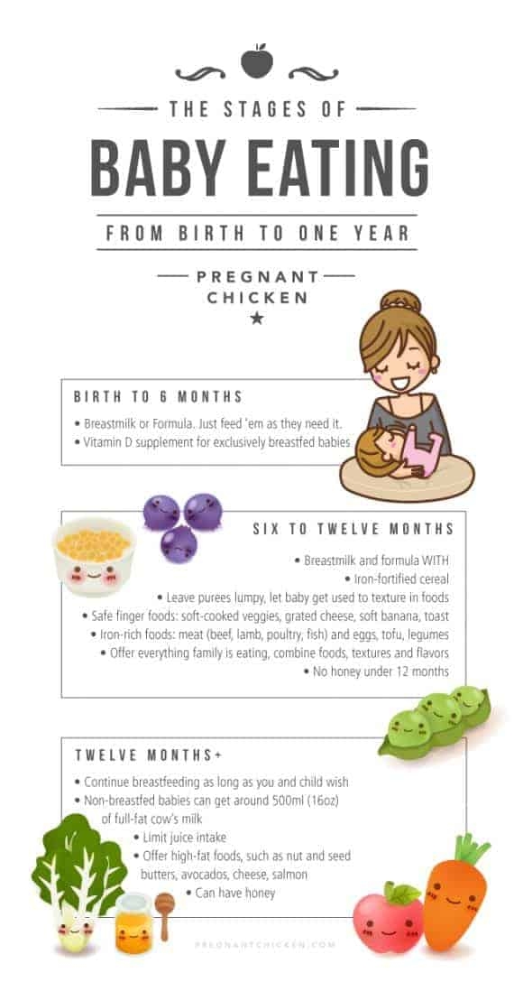 First stage baby food recipes