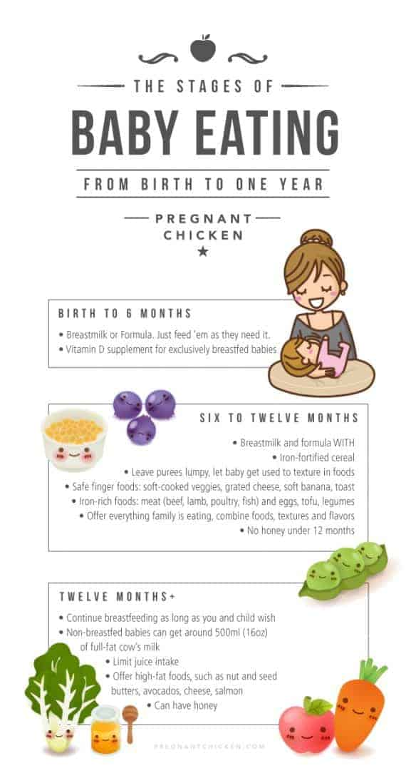 Baby food recipes meat