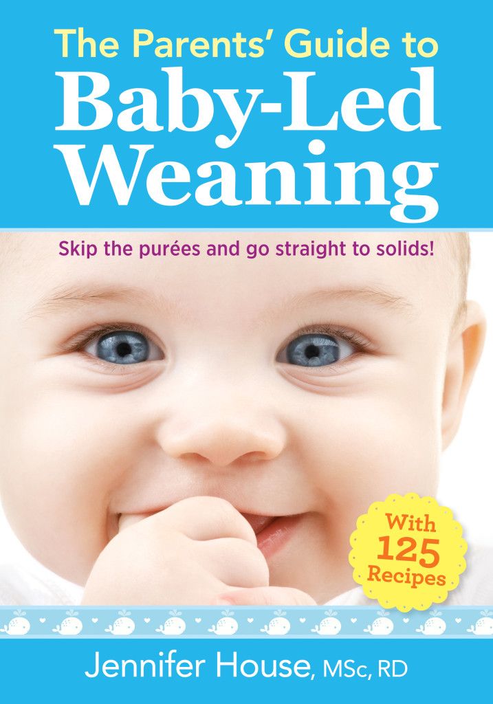 Baby food start guide