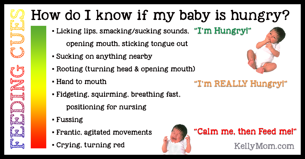 Baby feeding signs