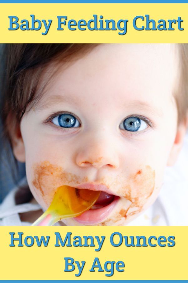 What stage baby food for 6 month old