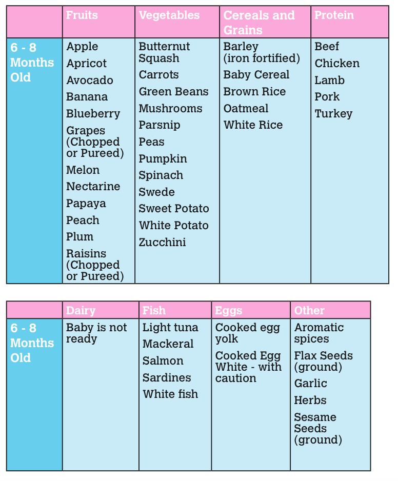 Food menu for 6 months old baby