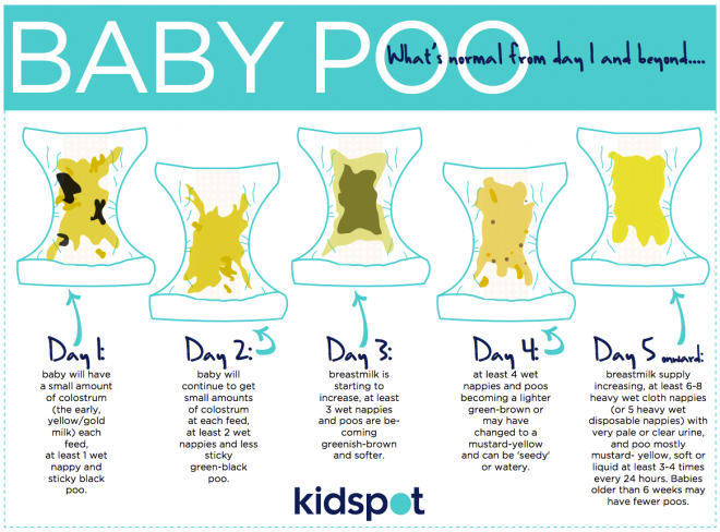 Breastfed baby poop after each feeding