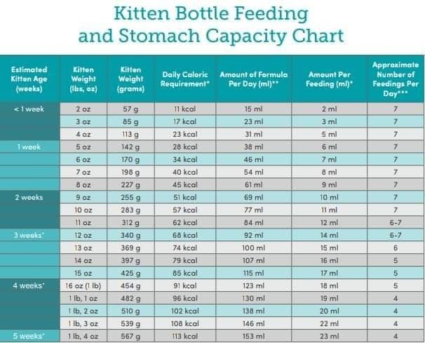 Feeding your baby with formula