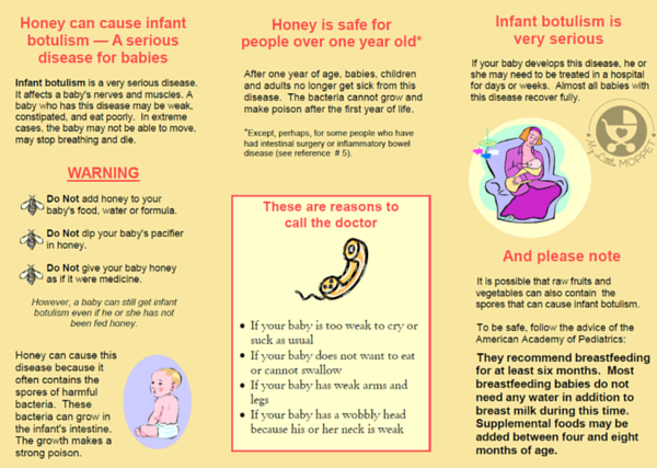 When can premature babies eat baby food