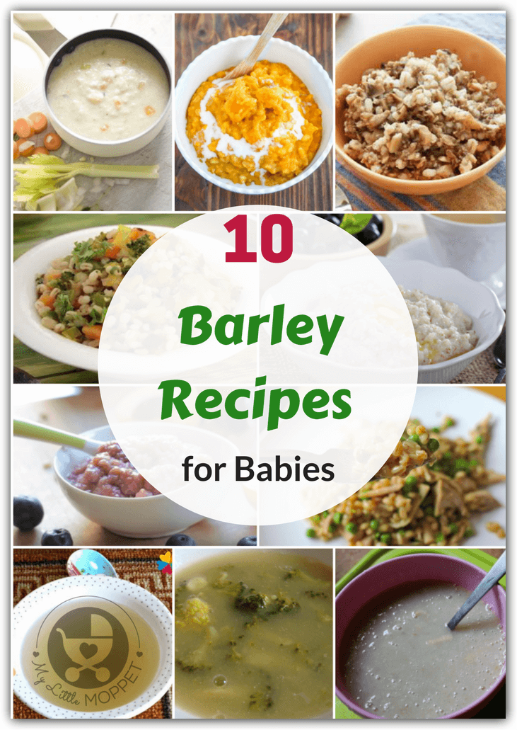 High fat baby food recipes