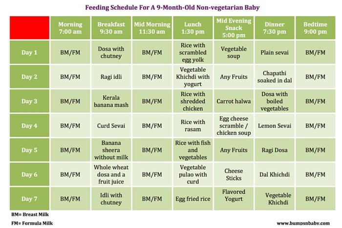 Feeding routine for 6 month baby