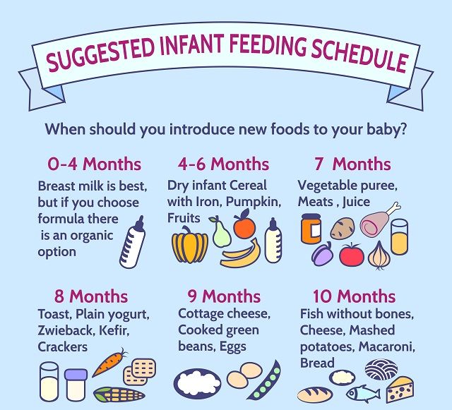 Food schedule for 6 months old baby