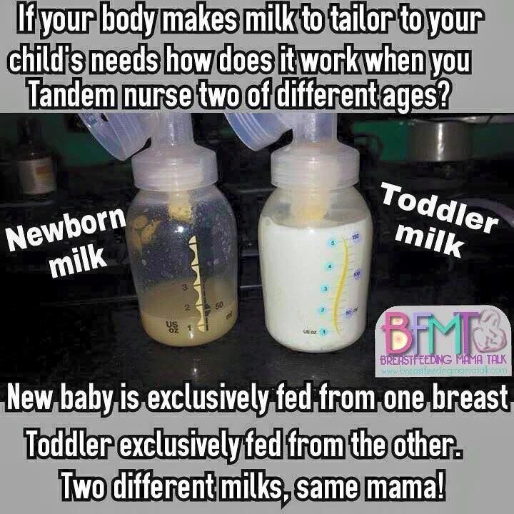 When can you start feeding babies whole milk