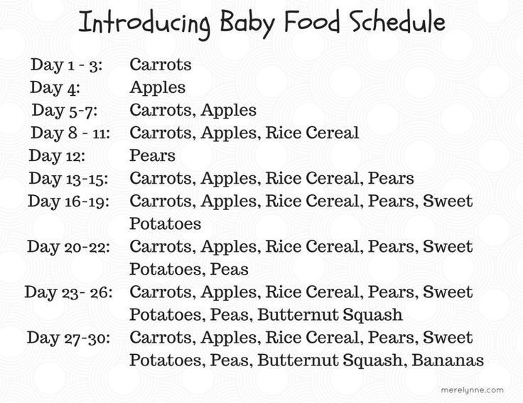 Baby food introduction list