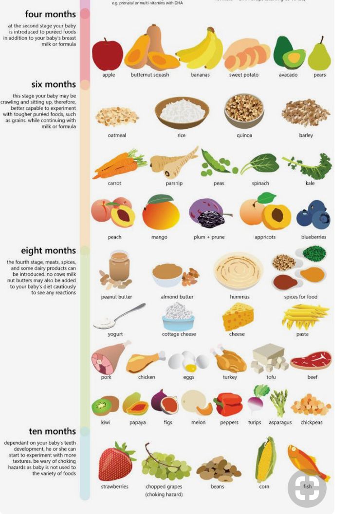 8Th month baby food chart in telugu