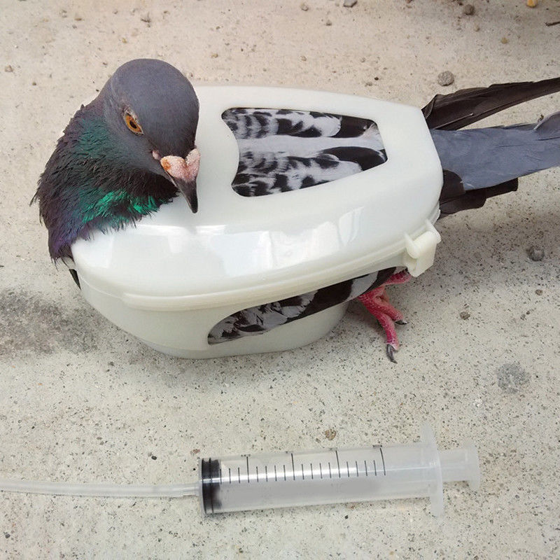 Syringe to feed baby birds