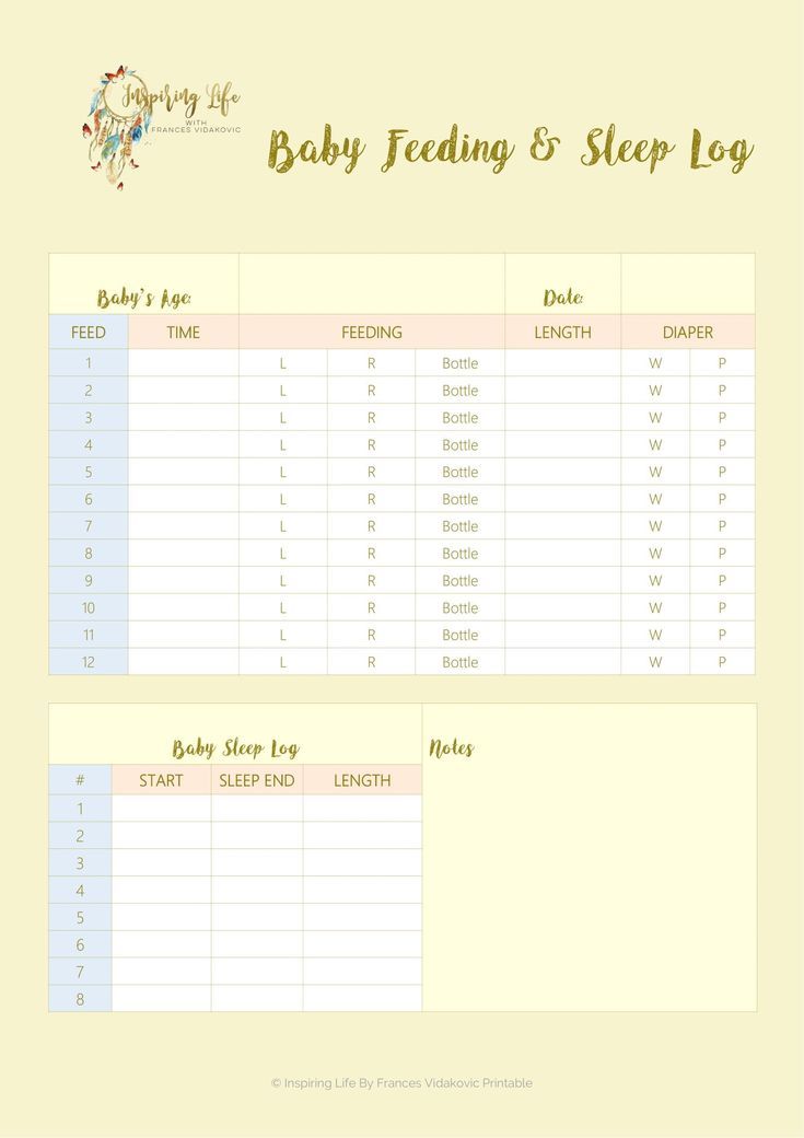 Baby puree feeding schedule