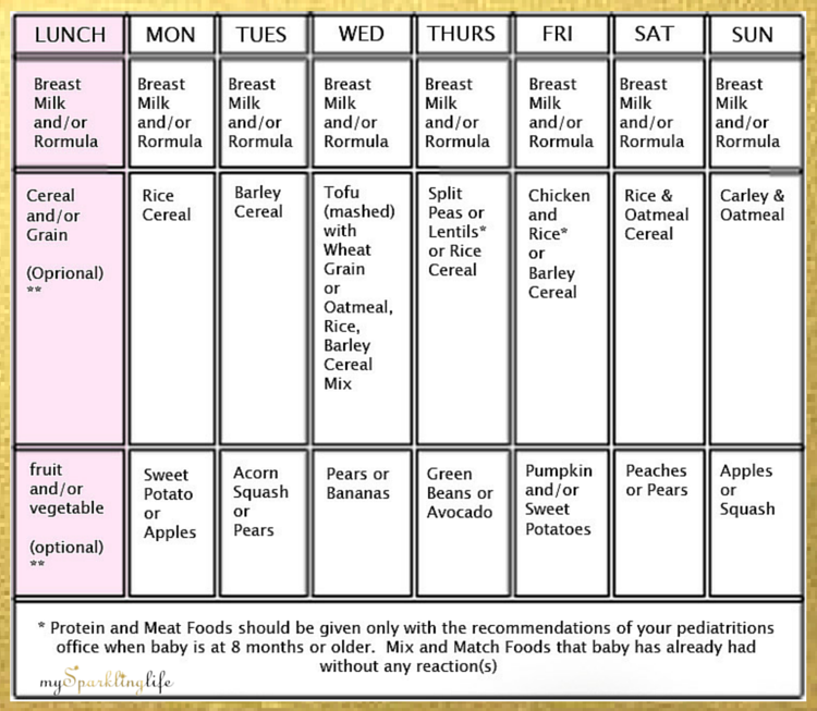 Nestle 6 month baby food chart