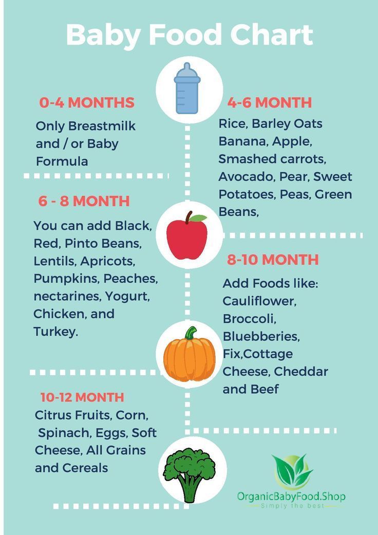 Stages of food for babies chart