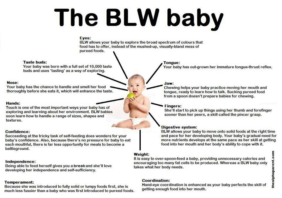 What size should food be for baby led weaning