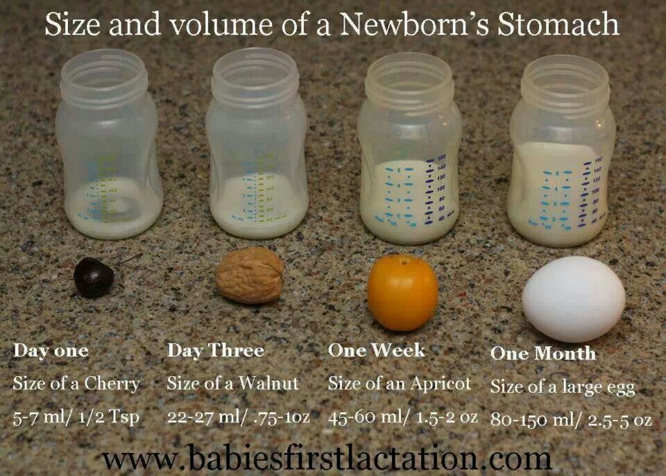 Bottle feeding newborn baby amount