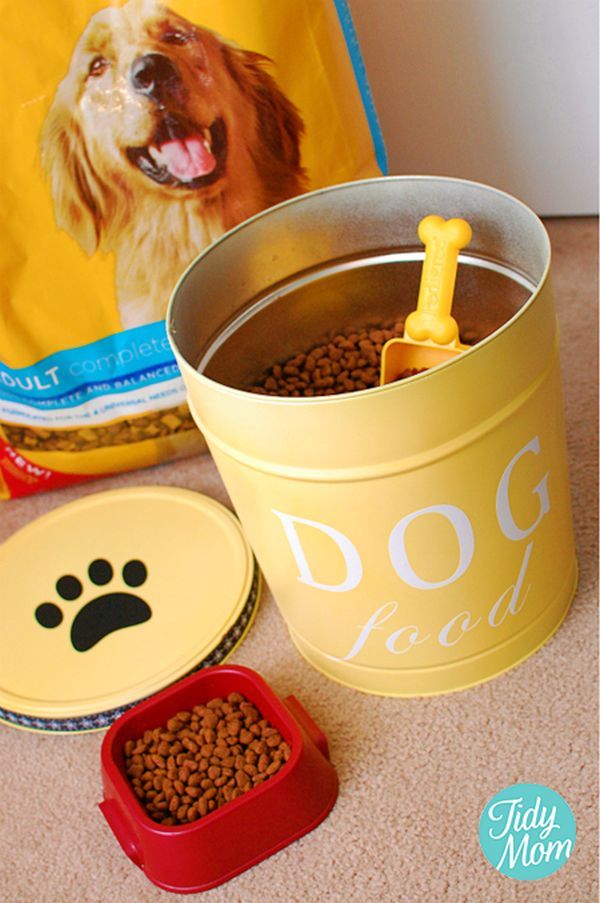 Baby food for dogs with pancreatitis