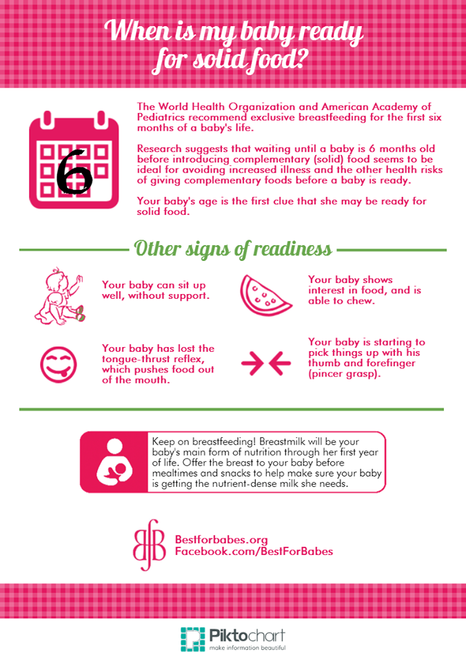 Baby solid food timeline