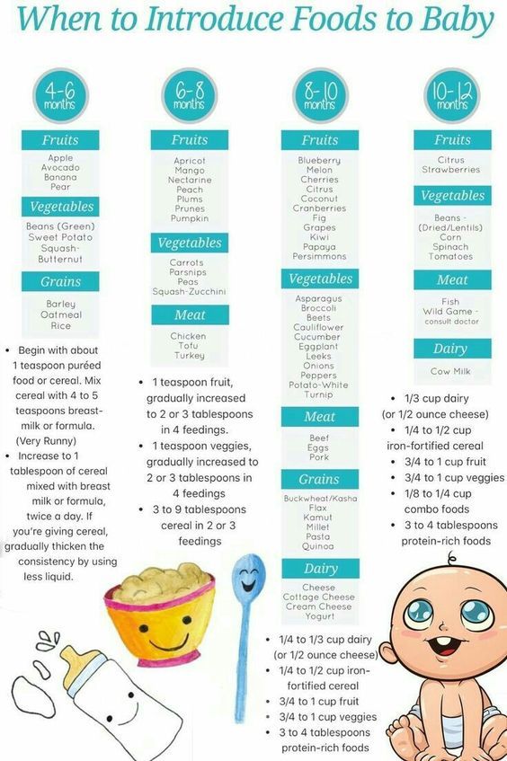 Who baby food guidelines