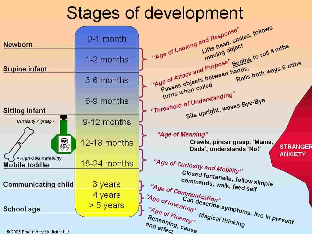 What age do babies self feed