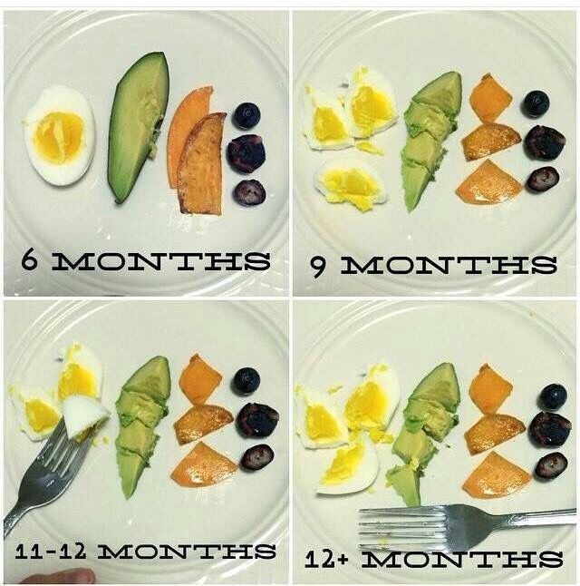 Food portions for 10 month baby