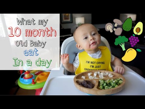 Can i give my four month old baby food