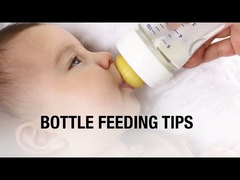 How to bottle feed a baby bunny