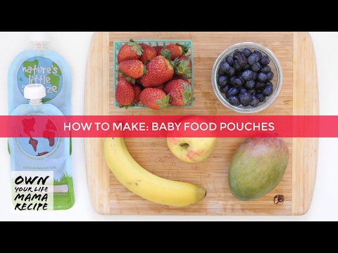 Homemade baby food squeeze pouches